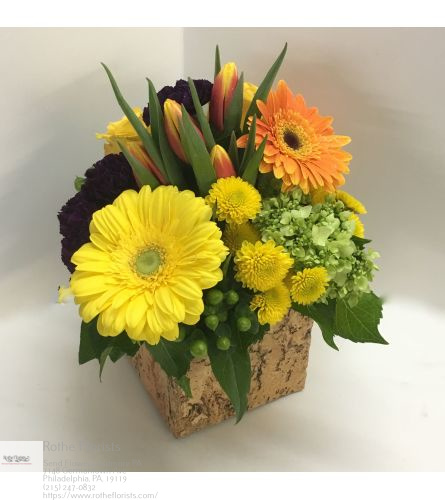 Florist «Rothe Florists», reviews and photos, 7148 Germantown Ave, Philadelphia, PA 19119, USA