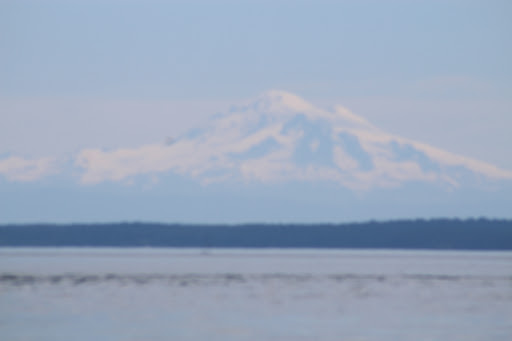 Travel Agency «First Discount Travel», reviews and photos, 4828 Cooper Rd, Cincinnati, OH 45242, USA