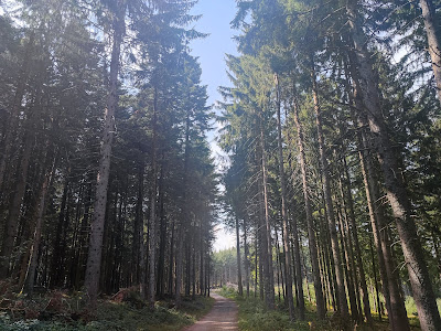 Col des Écharmeaux à Poule-les-Écharmeaux