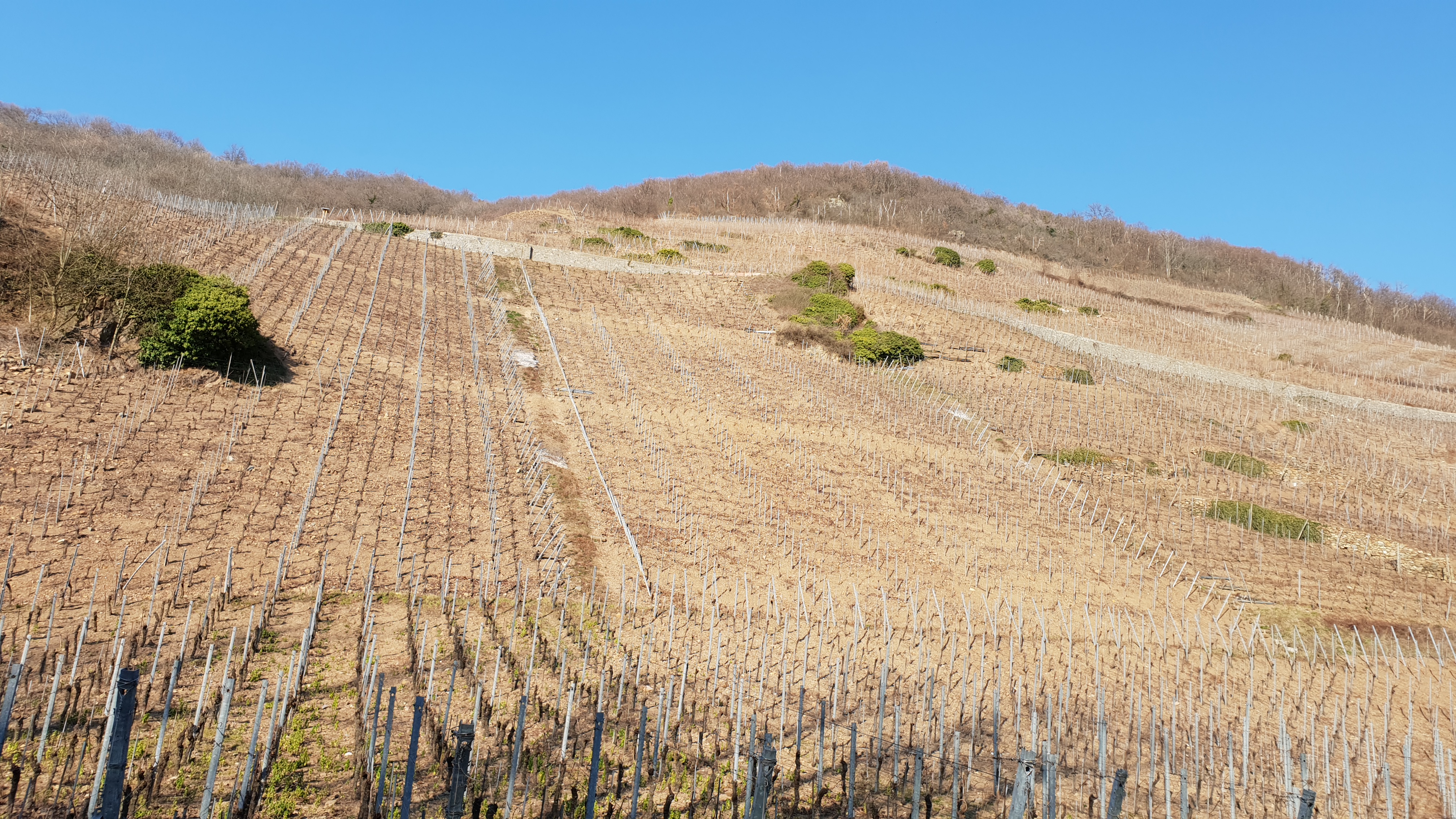 Photo n° 2 de l'avis de Jean-Paul.A fait le 28/02/2019 à 16:35