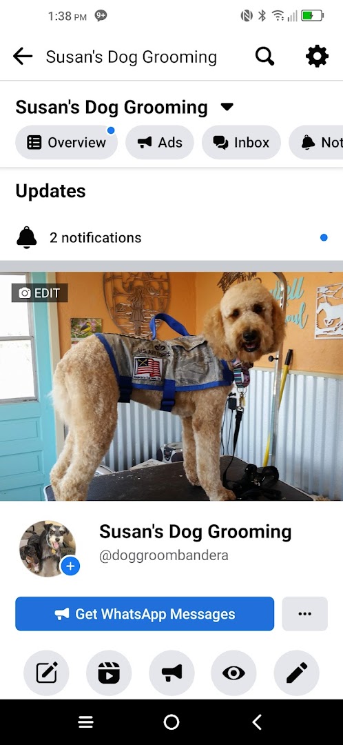 Susan's Dog Grooming