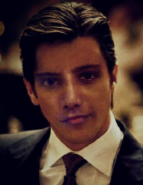 Criminal Justice Attorney «ERVIN KIBRIA LAW», reviews and photos