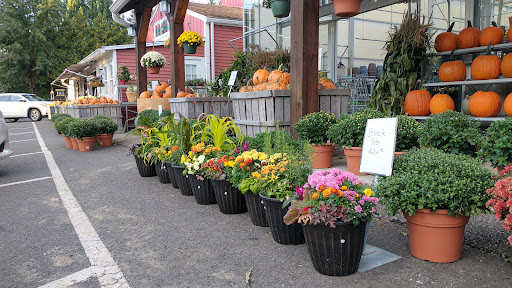 Produce Market «E Draghi & Son Farm Stand», reviews and photos, 86 Main St, South Glastonbury, CT 06073, USA