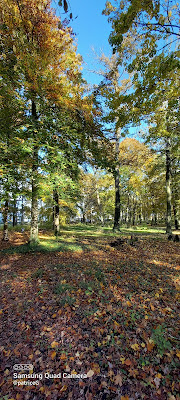 Parc de Maupas à Soissons