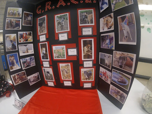 Pet Supply Store «PetSmart», reviews and photos, 4485 24th Ave, Fort Gratiot Twp, MI 48059, USA