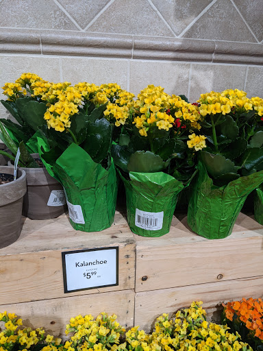 Grocery Store «The Fresh Market», reviews and photos, 12628 Tamiami Trail E, Naples, FL 34113, USA