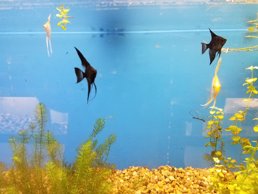 Pet Store «Pet World Warehouse Outlet», reviews and photos, 2984 S 108th St, Milwaukee, WI 53227, USA