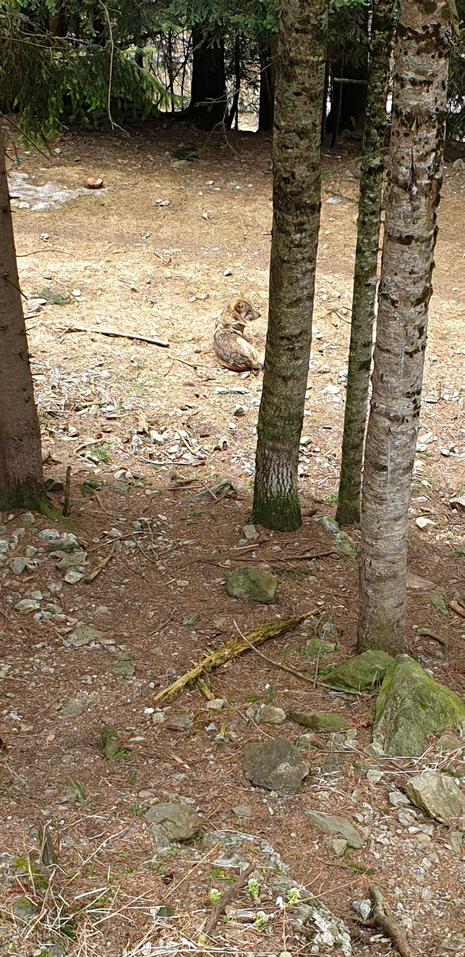 Photo n° 2 de l'avis de Steven.a fait le 02/05/2019 à 03:53