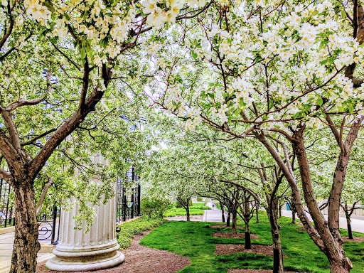 Park «Maggie Daley Park», reviews and photos, 337 E Randolph St, Chicago, IL 60601, USA