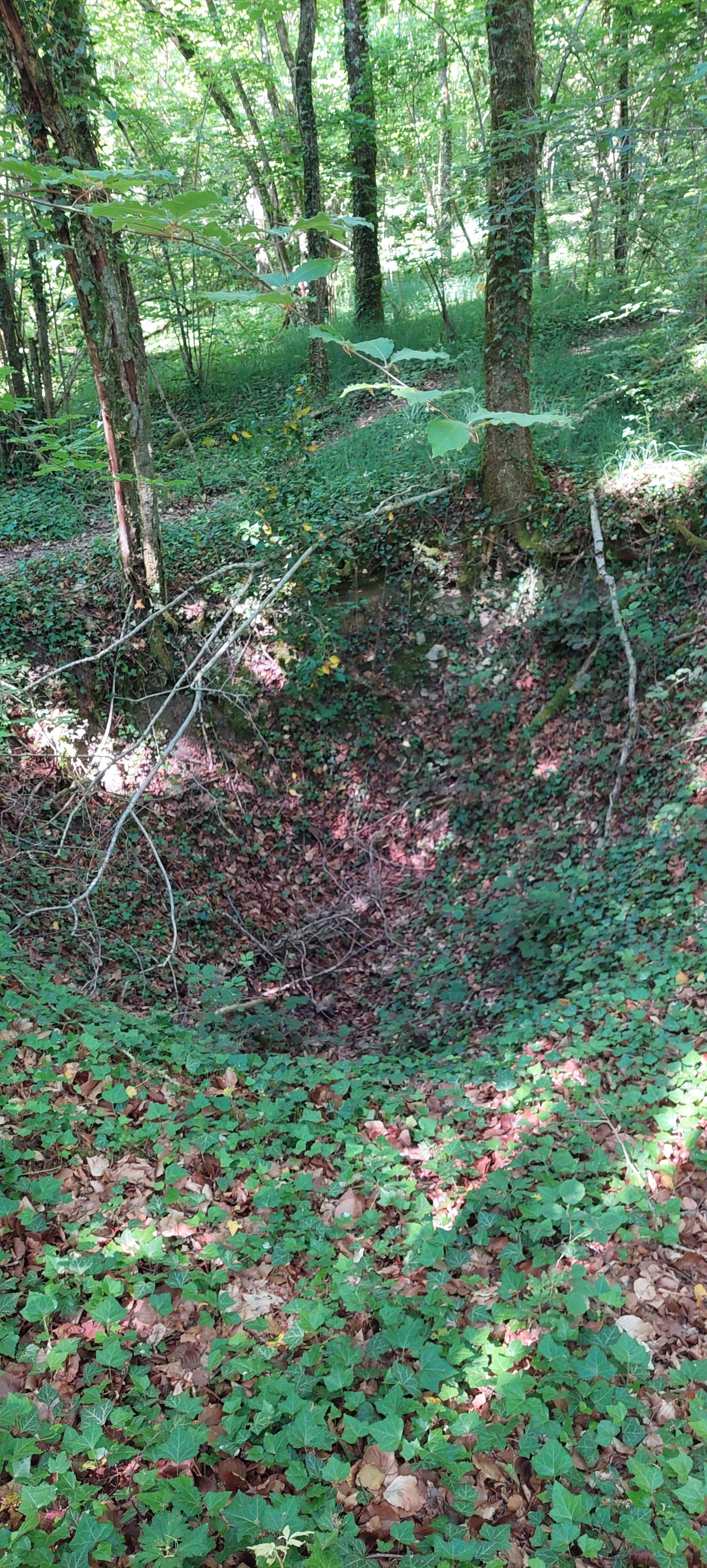 Photo n° 6 de l'avis de Thomas.h fait le 12/06/2023 à 18:43
