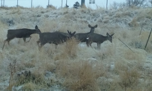 Real Estate Agency «MediaOne Real Estate», reviews and photos, 4770 5600 W, West Valley City, UT 84118, USA