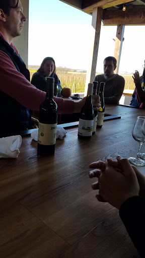 Winery «Palmer Vineyards», reviews and photos, 5120 Sound Ave, Riverhead, NY 11901, USA