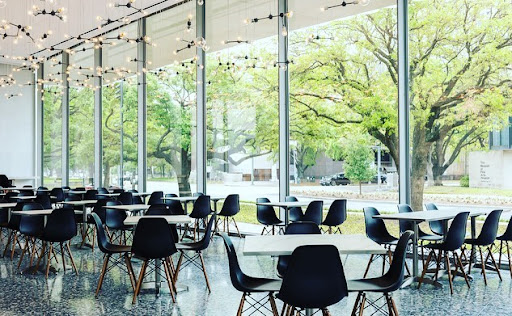 Museum «Museum of Fine Arts, Houston», reviews and photos, 1001 Bissonnet St, Houston, TX 77005, USA