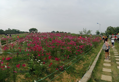 Vườn hoa Tân Cương