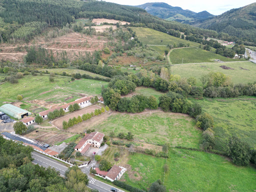 Yeguada Okondo en Okondo, Álava