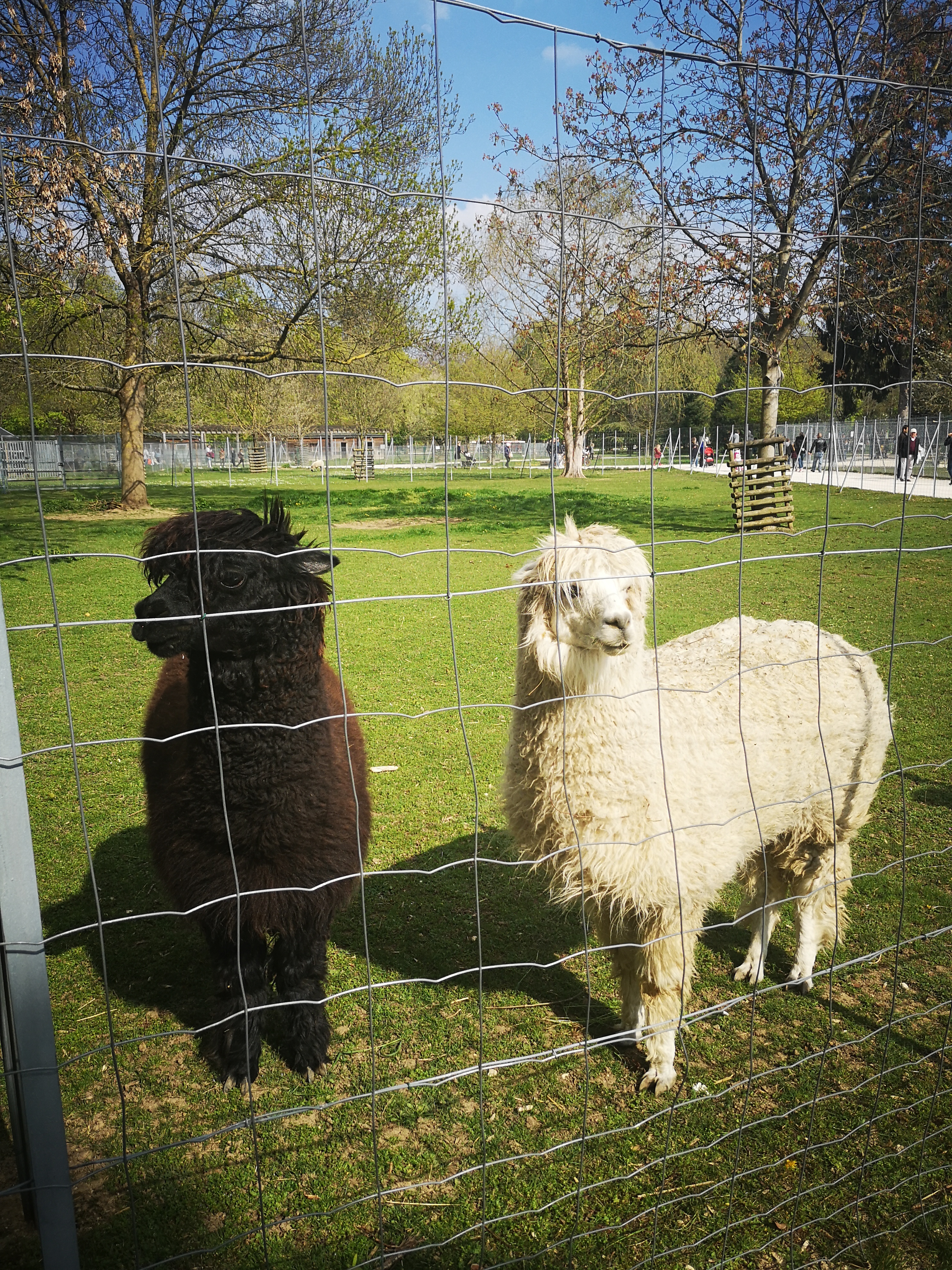 Photo n° 1 de l'avis de Dylan. fait le 15/04/2019 à 09:18