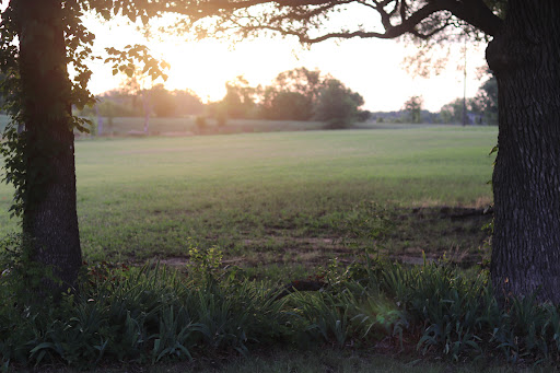 Recreation Center «Roanoke Recreation Center», reviews and photos, 501 Roanoke Rd, Roanoke, TX 76262, USA