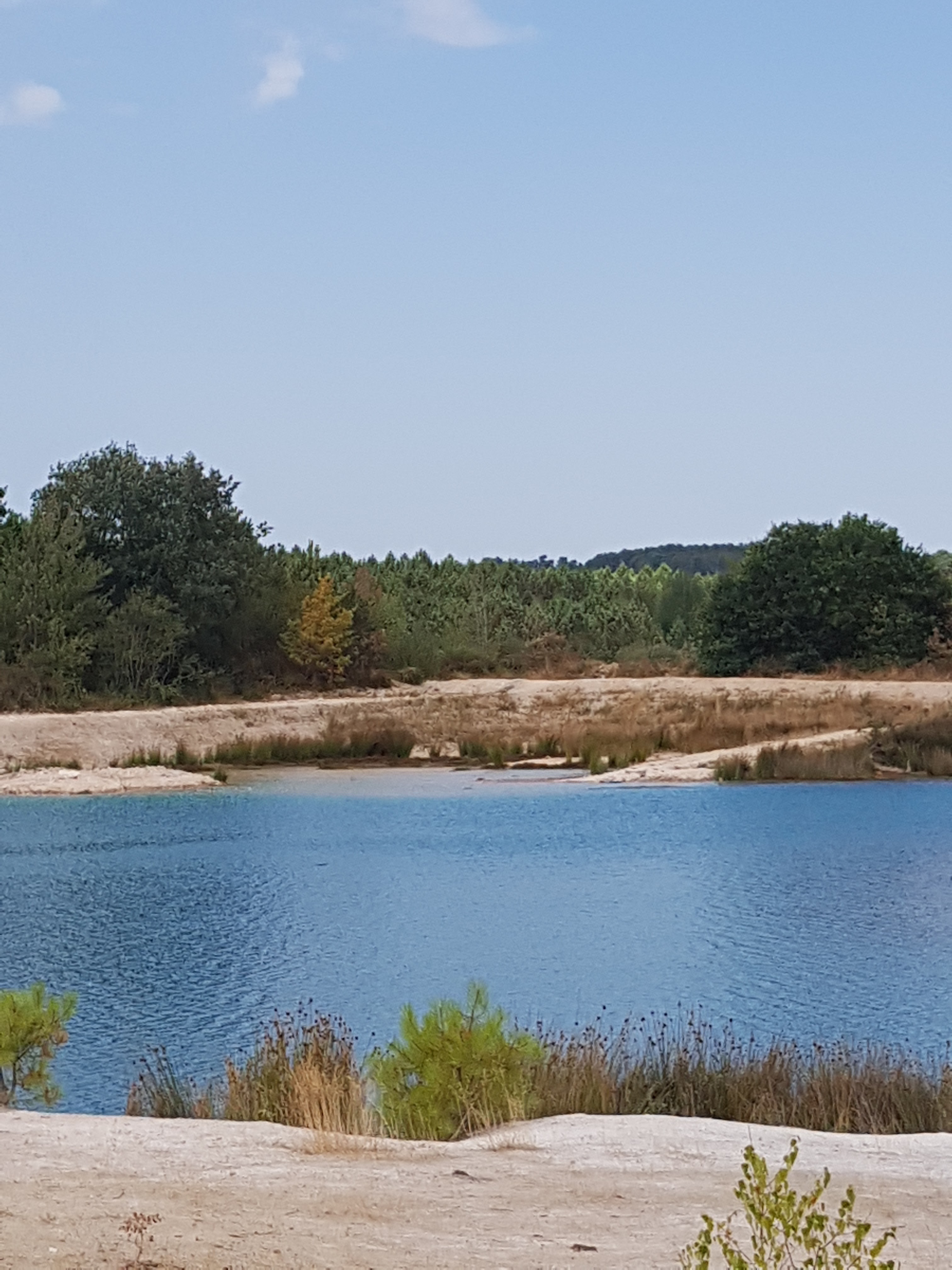 Photo n° 3 de l'avis de Clarga.l fait le 13/08/2020 à 15:25