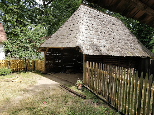 Muzeul Satului Bănățean - Muzeu