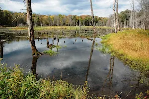 Woodbourne Forest And Wildlife Preserve image