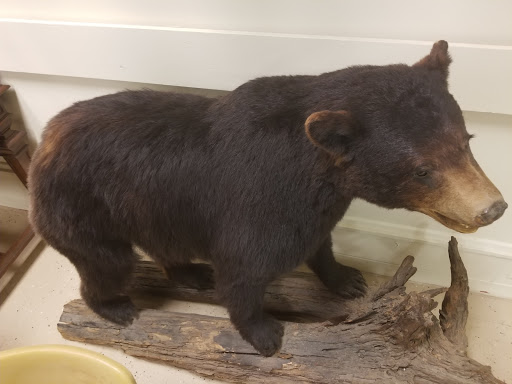 Natural History Museum «Natural History Society of Maryland», reviews and photos, 6908 Belair Rd, Baltimore, MD 21206, USA