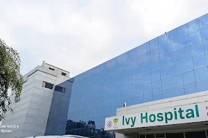 IVY Hospital Mohali image
