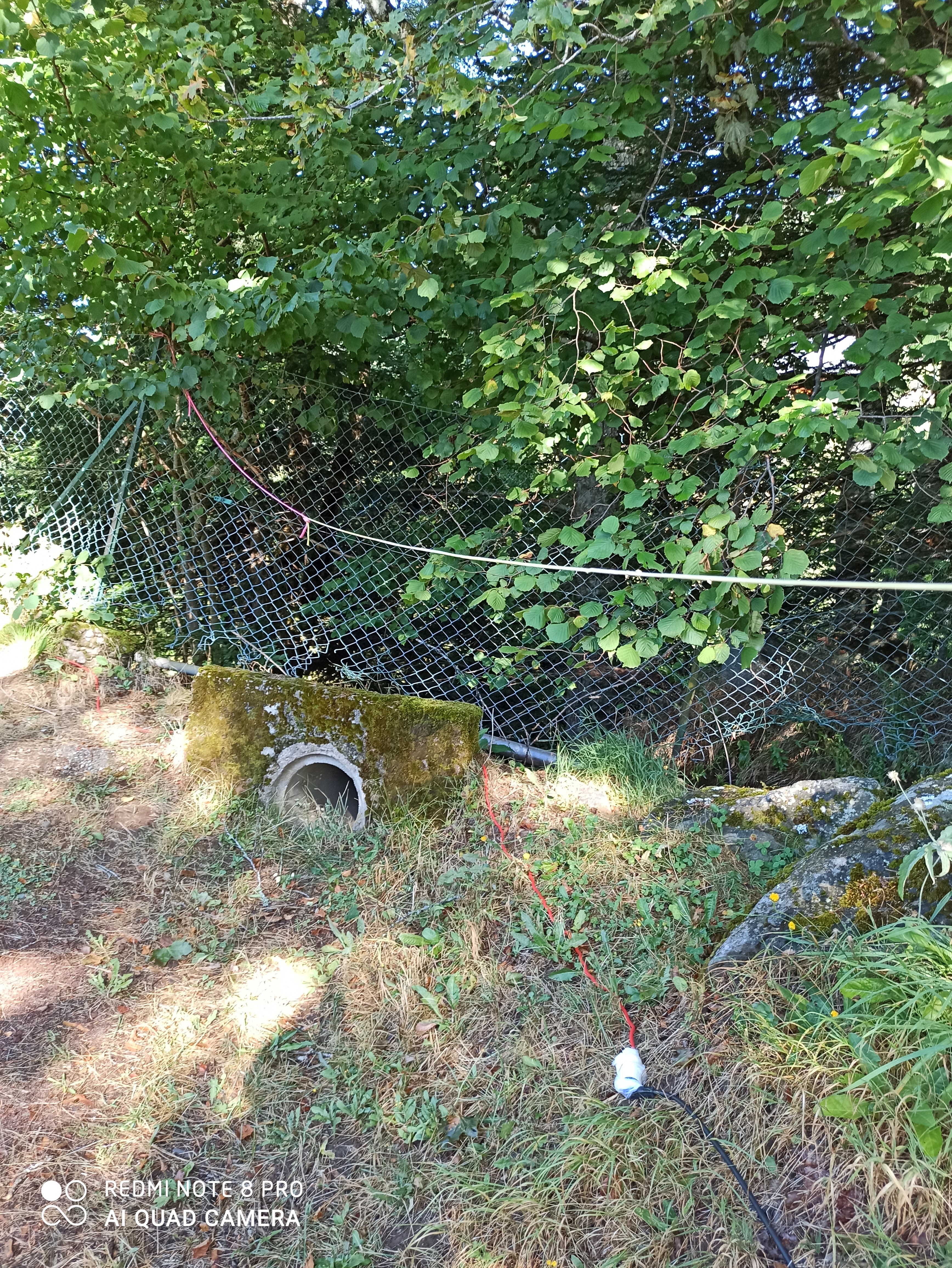 Photo n° 3 de l'avis de Franck.o fait le 22/08/2020 à 16:00