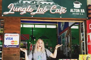 Jungle Lab Cafe image