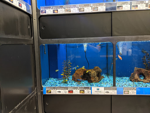 Pet Supply Store «Petco Animal Supplies», reviews and photos, 3464 Towne Blvd, Franklin, OH 45005, USA