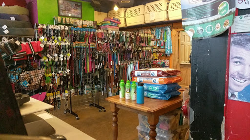 Pet Store «Pet Spot», reviews and photos, 429 Edwards Access Rd, Edwards, CO 81632, USA