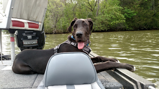 RV Park «Bluewater Resort and RV Campground», reviews and photos, 220 Bluewater Campground Rd, Dayton, TN 37321, USA