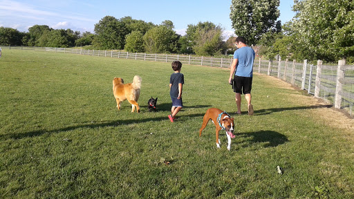 Dog Park «Daisy Dog Park», reviews and photos, 13214 Blakely Dr, Plainfield, IL 60585, USA