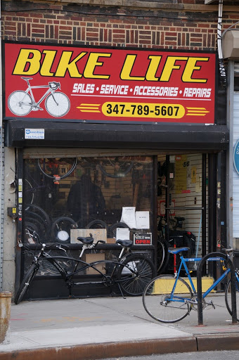 Bicycle Store «Bike Life», reviews and photos, 56 Lincoln Rd, Brooklyn, NY 11225, USA