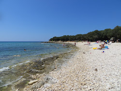 Barbariga beach'in fotoğrafı düz ve uzun ile birlikte