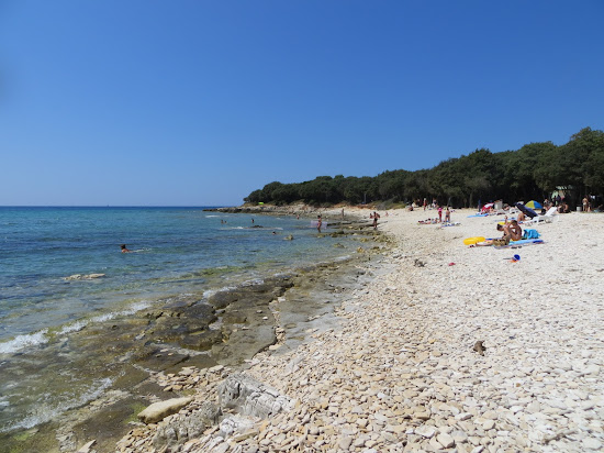 Barbariga beach
