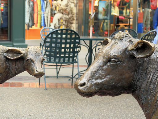 Computer Store «Apple University Village», reviews and photos, 2656 NE University Village St, Seattle, WA 98105, USA