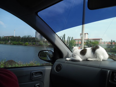 Tempat Letak Kereta Percuma