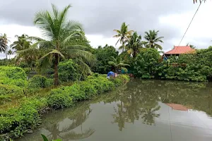 Kakkathuruthu Island Alappuzha, Kerala image