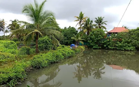 Kakkathuruthu Island Alappuzha, Kerala image