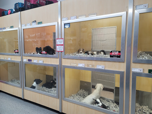 Pet Store «Animal Kingdom», reviews and photos, 5000 S Arizona Mills Cir, Tempe, AZ 85282, USA