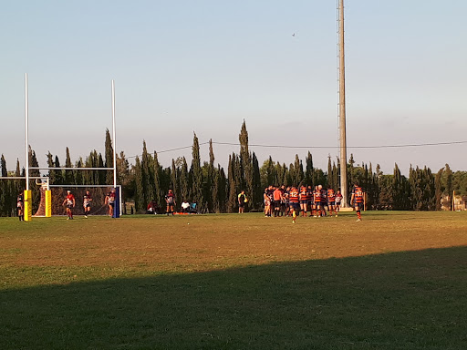 Campos de rugby Murcia