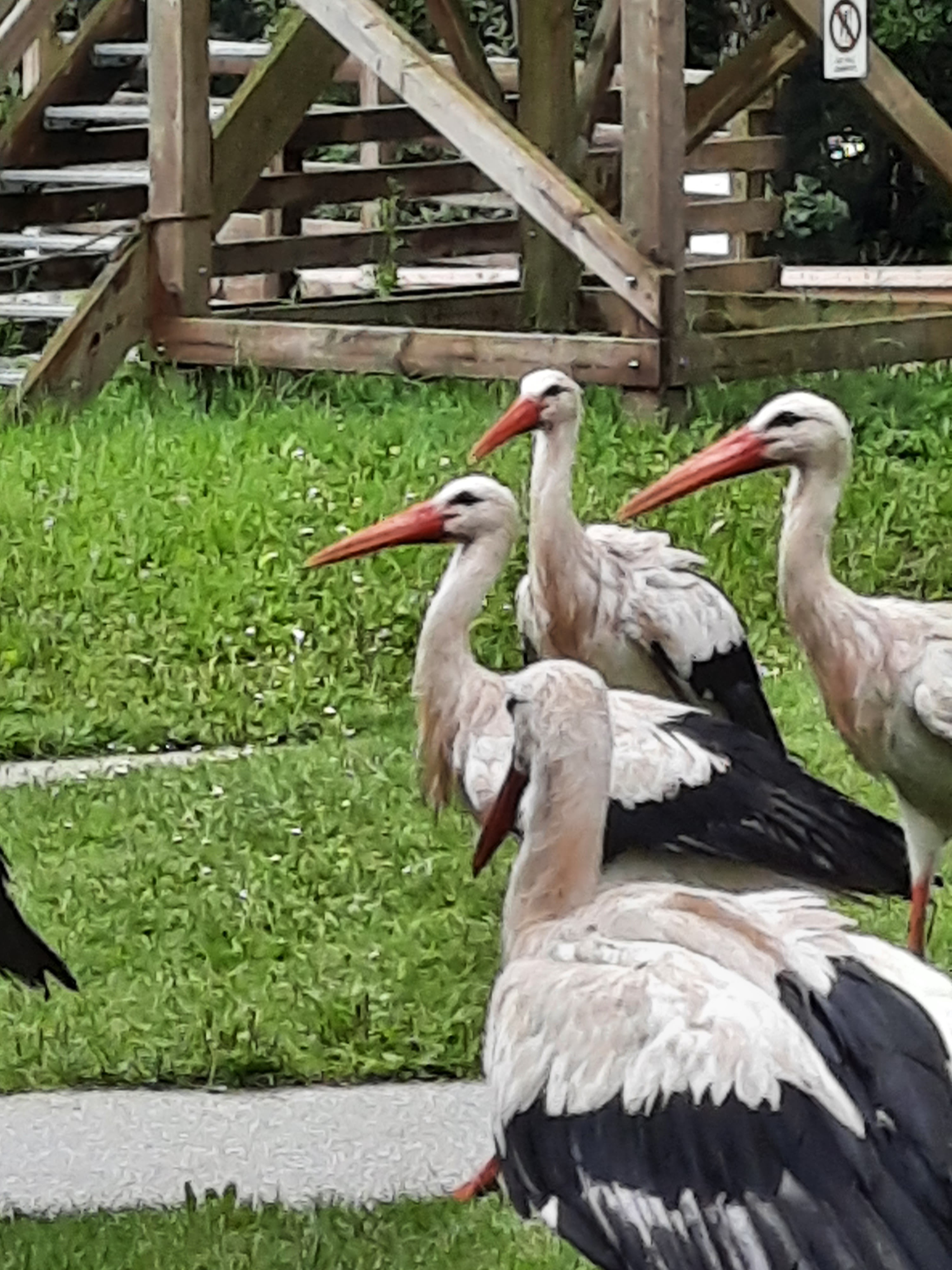 Photo n° 1 de l'avis de Véro.a fait le 11/08/2021 à 15:25