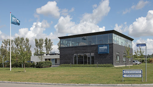 Evidensia Næstved Animal Hospital in Næstved, Næstved