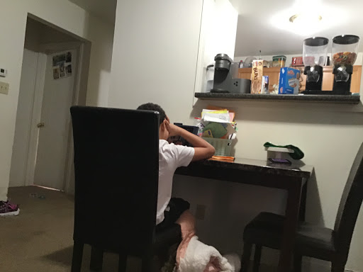 Future Cool Appliances, 357 Vermont St, Buffalo, NY 14213, USA, 