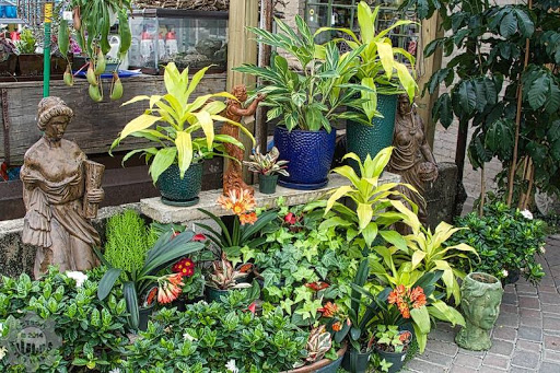 Plant Nursery «Goldner Walsh Garden and Home», reviews and photos, 559 Orchard Lake Rd, Pontiac, MI 48341, USA