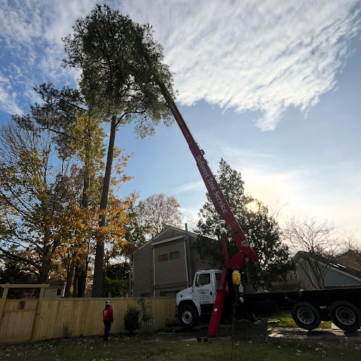 DeForest Tree Service in Virginia Beach