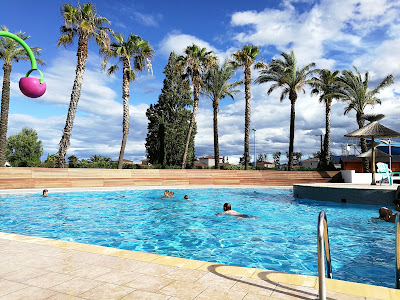 Les Palmiers Saint Cyprien à Saint-Cyprien