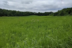 Albany Mounds State Historic Site image