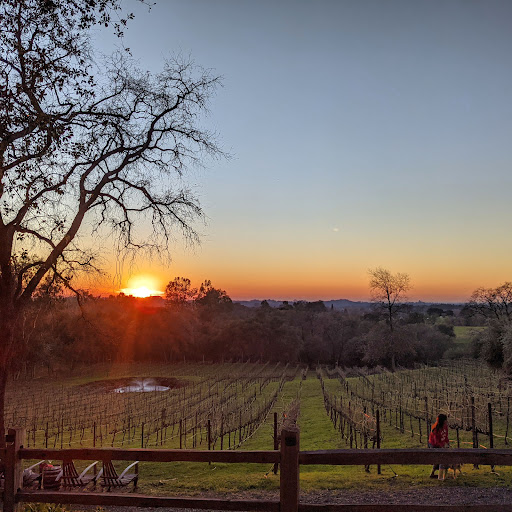 Winery «PaZa Estate Winery», reviews and photos, 3357 Ayres Holmes Rd, Auburn, CA 95602, USA
