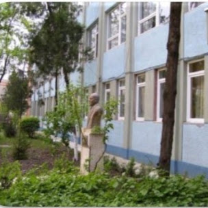 Liceul Tehnologic Grigore C Moisil - Școală